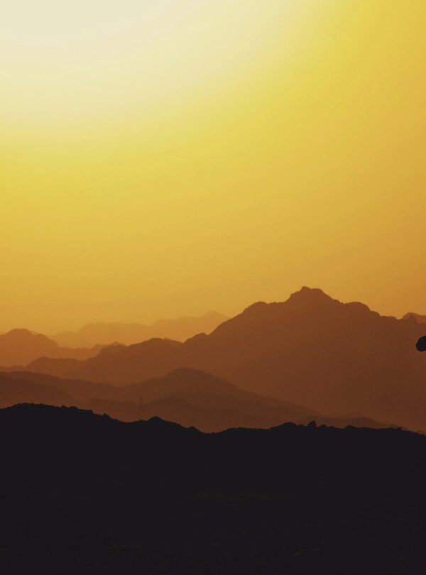 silhouette of camel